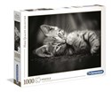 Puzzle Hugh Quality Collection Kitty 1000