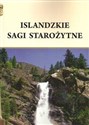 Islandzkie sagi starożytne - Henryk Pietruszczak