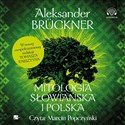 [Audiobook] Mitologia słowiańska i polska