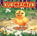Kurczaczek - Marek Szal (ilustr.), Katarzyna Campbell