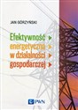 Efektywność energetyczna w działalności gospodarczej - Jan Górzyński