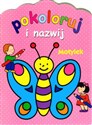 Motylek. Pokoloruj i nazwij  - Anna Wiśniewska, Sylvie Michelet, J.R. Deseigne