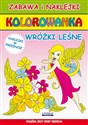 Kolorowanka Wróżki leśne - Kornelia Kondracka