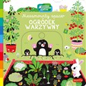 Ogródek warzywny  Niesamowity spacer Akademia mądrego dziecka - Opracowanie Zbiorowe