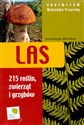 Las 215 roślin, zwierząt i grzybów - Dorota Zawadzka, Marek Sławski