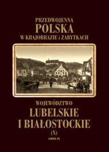 Województwo lubelskie i białostockie Tom 10