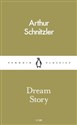 Dream story - Arthur Schnitzler