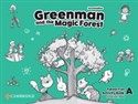 Greenman and the Magic Forest Level A Activity Book - Susannah Reed