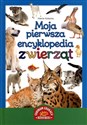Moja pierwsza encyklopedia zwierząt - Marta Kotecka
