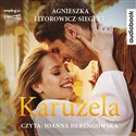 [Audiobook] Karuzela
