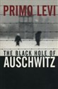 The Black Hole of Auschwitz