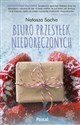 Biuro przesyłek niedoręczonych - Natasza Socha