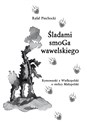 Śladami smoGa wawelskiego Rymowanki z Wielkopolski o stolicy Małopolski