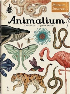 Animalium Muzeum zwierząt