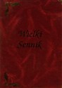 Wielki sennik - Marek Skierkowski