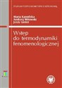 Wstęp do termodynamiki fenomenologicznej - Maria Kamińska, Andrzej Witowski, Jerzy Ginter