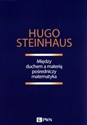 Między duchem a materią pośredniczy matematyka - Hugo Steinhaus