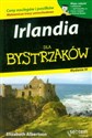 Irlandia dla bystrzaków. Wydanie IV - Elizabeth Albertson