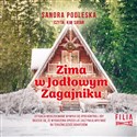 [Audiobook] Zima w Jodłowym Zagajniku - Sandra Podleska