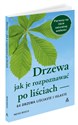 Drzewa Jak je rozpoznawać po liściach