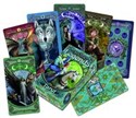 Anne Stokes Legends Tarot - 