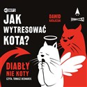 [Audiobook] Jak wytresować kota? Diabły, nie koty