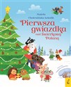 Pierwsza gwiazdka nad Świerkową Polaną