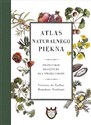 Atlas naturalnego piękna Francuskie receptury dla twojej urody - Victoire Taillac, Ramdane Touhami