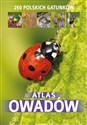 Atlas owadów - Kamila Twardowska, Jacek Twardowski