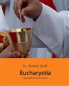 Eucharystia. Kawałek nieba na ziemi - ks.Mariusz Rosik