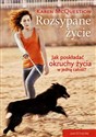 Rozsypane życie - Karen McQuestion