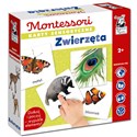 Montessori. Karty sensoryczne. Zwierzęta 2+