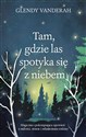 Tam, gdzie las spotyka się z niebem wyd. kieszonkowe  - Glendy Vanderah