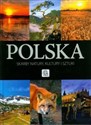 Polska Skarby natury, kultury i sztuki