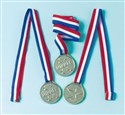 Medal plastikowy 10,5x4,4cm 