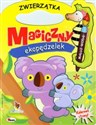 Magiczny ekopędzelek Zwierzątka Maluj wodą !