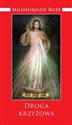 Miłosierdzie Boże Droga krzyżowa Wybrane modlitwy z Dzienniczka św. Faustyny Kowalskiej