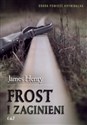 Frost i zaginieni - James Henry
