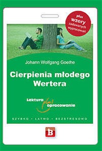 Cierpienia młodego Wertera Lektura plus opracowanie