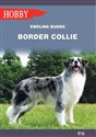 Border Collie wyd. 2