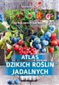 Atlas dzikich roślin jadalnych 150 polskich gatunków