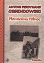 Płomienna północ - Antoni Ferdynand Ossendowski