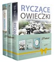 Pakiet Wy jesteście solą ziemi. Ryczące owieczki / 10 prostych kroków do prawdziwej przyjaźni z Jezusem / Kult miłości - Bob Briner, Gary Zimak, Jennifer Dukes Lee