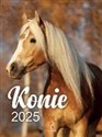 Kalendarz 2025 wieloplanszowy B4 Konie 