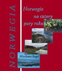 Norwegia na cztery pory roku