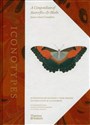 Iconotypes A compendium of butterflies and moths