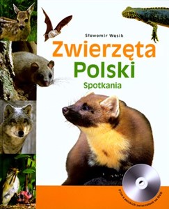 Zwierzęta Polski