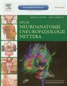 Atlas neuroanatomii i neurofizjologii Nettera