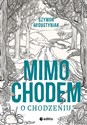 Mimochodem o chodzeniu - Szymon Augustyniak