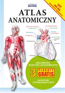 Atlas anatomiczny Kolorowe rysunki anatomiczne. 3 plakaty gratis. Słownik czterojęzyczny